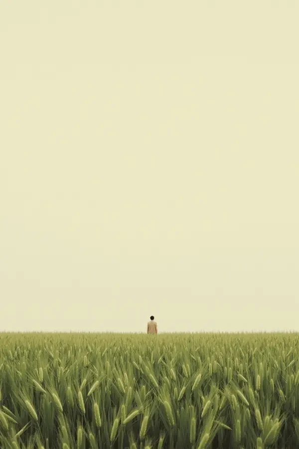 青色麦田 樱花动漫在线看在线观看